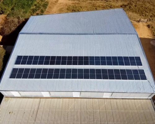 WhatsApp Image 2022-09-28 at 22.40.43 (2)